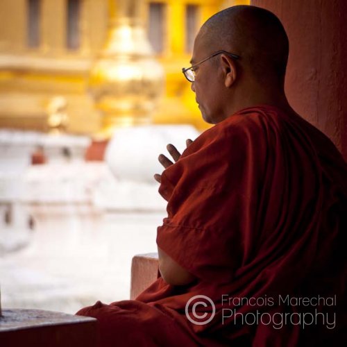 Close to 90% of the Burmese population is buddhist, and the monks are seen as the nation's only civil institution.