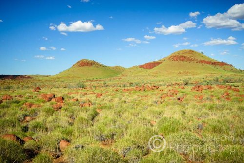 Most of the landscape of Millstream Chichester National Park is rolling spinifex hills such as the one pictured in this photograph. The area was a focal point for the Yindjibarndi aboriginal people and an active pastoral station for more than 100 years.