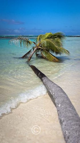 'Upolu, Samoa.