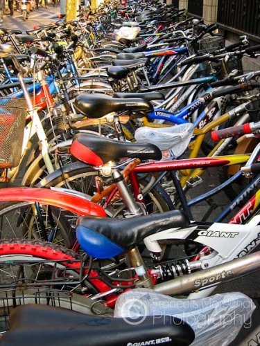 Although cars are on the increase, bicycles in Shanghai remain a cheap and very popular means of transport.