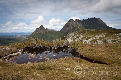 Cradle Mountain - Lake St Clair N.P. (TAS)