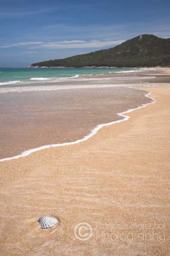 Freycinet N.P. (TAS)