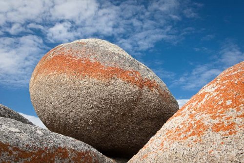 Mt William N.P. (TAS)