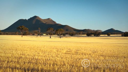 Stirling Range N.P. (WA)